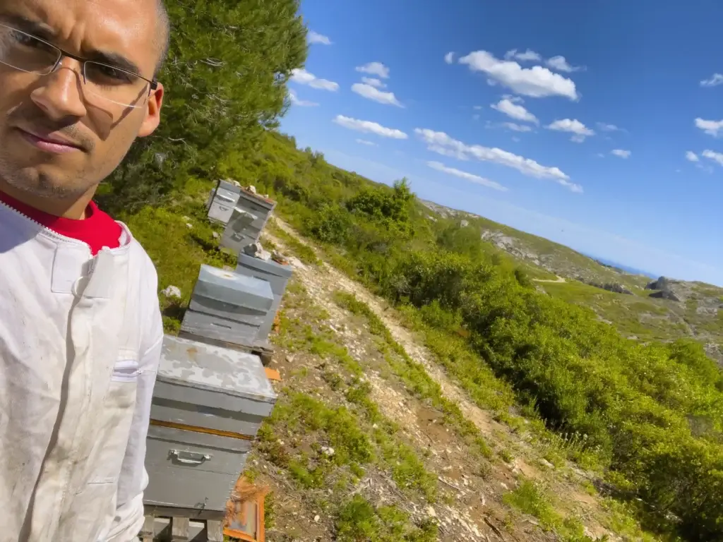 image d'un homme en tenue d'apiculteur dans un paysage provençal avec des ruches